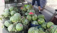 宜兴吃瓜爆料事件真相,揭秘背后真相与网络舆论的反思